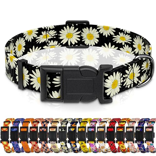 Seyezo Hundehalsband, Gänseblümchen, für Jungen und Mädchen, Welpenhalsband für kleine, mittelgroße und große Hunde, verstellbar, weich, florales Haustierhalsband mit Sicherheitsschnalle für männliche von Seyezo