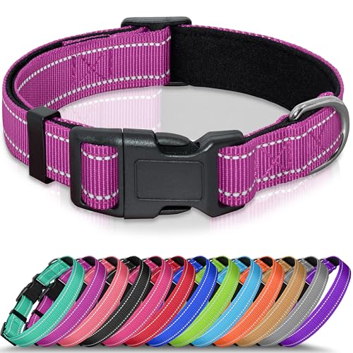 Seyezo Hundehalsband, atmungsaktiv, weich gepolstert, für kleine, mittelgroße und große Hunde, verstellbare Welpenhalsbänder mit Schnellverschluss-Schnalle, sicheres, reflektierendes Seyezo Hundehalsband, atmungsaktiv, weich gepolstert, für kleine, mittelgroße und große Hunde, verstellbare Welpenhalsbänder mit Schnellverschluss-Schnalle, sicheres, reflektierendes von Seyezo