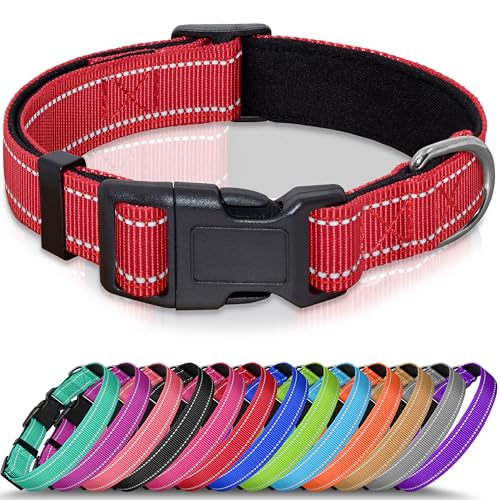 Seyezo Hundehalsband, atmungsaktiv, weich gepolstert, für kleine, mittelgroße und große Hunde, verstellbare Welpenhalsbänder mit Schnellverschluss-Schnalle, sicheres, reflektierendes Seyezo Hundehalsband, atmungsaktiv, weich gepolstert, für kleine, mittelgroße und große Hunde, verstellbare Welpenhalsbänder mit Schnellverschluss-Schnalle, sicheres, reflektierendes von Seyezo