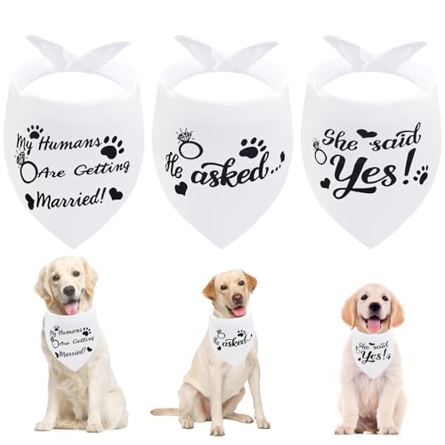 Seyezo Hundehalstücher mit Aufschrift "My Humans are Getting Married", Hundehalstücher für Hochzeiten, Haustierschal, Verlobungsfeier, Foto-Dekorationen, Haustierzubehör für Hundeliebhaber, Schwarz, Seyezo Hundehalstücher mit Aufschrift "My Humans are Getting Married", Hundehalstücher für Hochzeiten, Haustierschal, Verlobungsfeier, Foto-Dekorationen, Haustierzubehör für Hundeliebhaber, Schwarz, von Seyezo