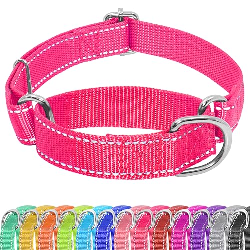 Seyezo Martingale Hundehalsband, Martingale-Halsband für Hunde ohne Schnalle, reflektierendes Haustier-Trainingshalsband für kleine, mittelgroße und große Hunde, verstellbar, strapazierfähiges Nylon Seyezo Martingale Hundehalsband, Martingale-Halsband für Hunde ohne Schnalle, reflektierendes Haustier-Trainingshalsband für kleine, mittelgroße und große Hunde, verstellbar, strapazierfähiges Nylon von Seyezo