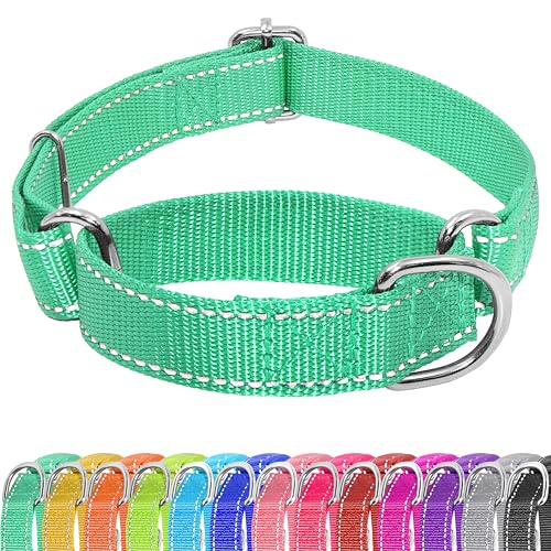 Seyezo Martingale Hundehalsband, Slip-Martin-Halsband für Hunde ohne Schnalle, reflektierendes Haustier-Trainingshalsband für kleine, mittelgroße und große Welpen, verstellbar, strapazierfähiges Nylon Seyezo Martingale Hundehalsband, Slip-Martin-Halsband für Hunde ohne Schnalle, reflektierendes Haustier-Trainingshalsband für kleine, mittelgroße und große Welpen, verstellbar, strapazierfähiges Nylon von Seyezo