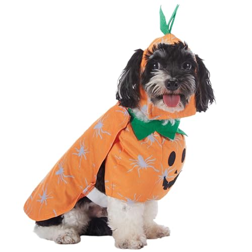 Seyrnicay Halloween-Kostüme für Hunde | Katzenkleidung -Kostüm – lustige Hundekleidung Cosplay-Outfit, Halloween-Kostüm für kleine Hunde, Welpen, Katzen, Haustierbedarf Seyrnicay Halloween-Kostüme für Hunde | Katzenkleidung -Kostüm – lustige Hundekleidung Cosplay-Outfit, Halloween-Kostüm für kleine Hunde, Welpen, Katzen, Haustierbedarf von Seyrnicay