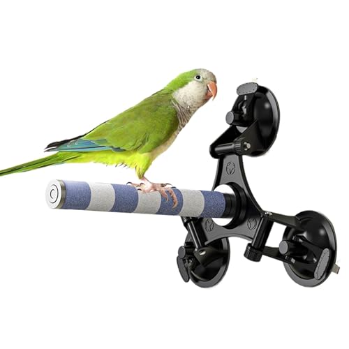 Seyrnicay Vogelstange Ständer mit Saugnapf, Ständer Stick Stabile Struktur Training Spielzeug für Lovebirds Wellensittiche Mittlere Sittiche Nymphensittiche von Seyrnicay