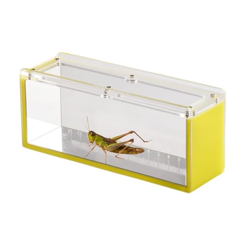 Sghtil Fischbeobachtungsbox, Fisch -Schlupfbox | Fisch anzeigen Acrylbehälter mit Skala,Löschen Sie tragbare Wassertierzubehör für Innenräume im Freien im Freien von Sghtil