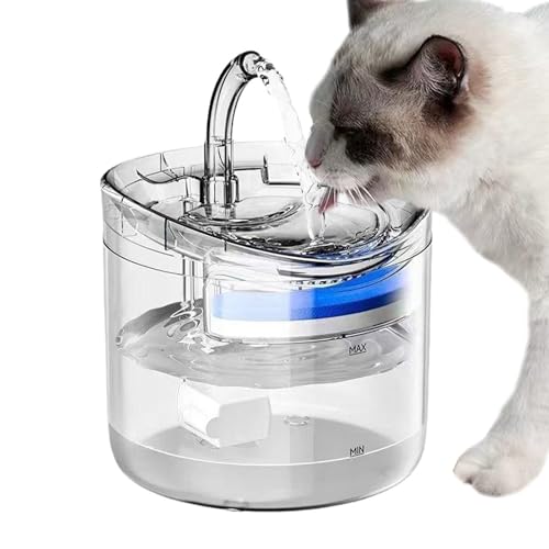 Sghtil Haustier Trinkbrunnen,Automatischer Wasserspender Für Katze Und Hund | Automatischer 2 Liter Spender Für Haustiere Zuhause Hydration Sghtil Haustier Trinkbrunnen,Automatischer Wasserspender Für Katze Und Hund | Automatischer 2 Liter Spender Für Haustiere Zuhause Hydration von Sghtil