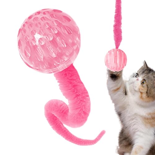 Sghtil Hüpfball-Katzenspielzeug, interaktives Katzenballspielzeug - Interaktives Wurm-Hüpfball-Katzenspielzeug - Hüpfball für Katzen, hält Katzen bei Laune, alle Katzengrößen Sghtil Hüpfball-Katzenspielzeug, interaktives Katzenballspielzeug - Interaktives Wurm-Hüpfball-Katzenspielzeug - Hüpfball für Katzen, hält Katzen bei Laune, alle Katzengrößen von Sghtil
