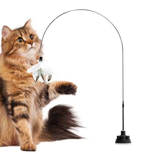 Sghtil Katzenangel, Katzenangel Mit Glöckchen, Unzerstörbares Katzenzubehör Mit Saugnapf & Interaktivem Spielzeug Für Jagdspiele Sghtil Katzenangel, Katzenangel Mit Glöckchen, Unzerstörbares Katzenzubehör Mit Saugnapf & Interaktivem Spielzeug Für Jagdspiele von Sghtil