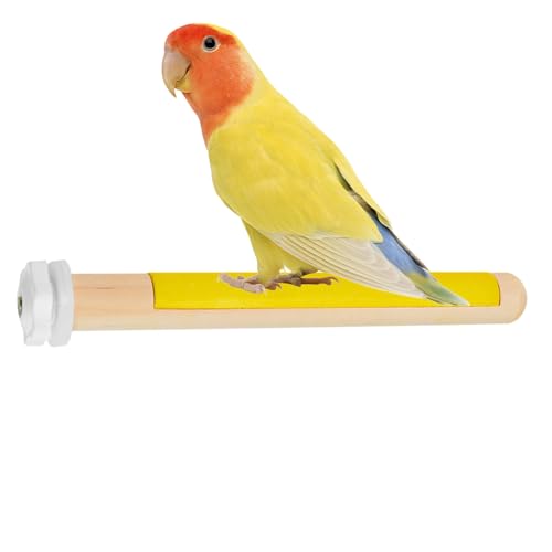 Sghtil Papageiung Barsch, Vogelperchpol,Papageienständer Spielzeugkäfigzubehör | Multifunktionales stabiles natürliches Schleifgabel bestehend Spielzeug für Cockatiels Lovebirds Finken von Sghtil