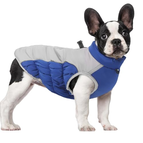 Sghtil Winterjacke für Hunde, Wintermantel, winddicht, warm, wasserdicht, für Hunde, Mäntel für kaltes Wetter, Schneejacke mit reflektierenden Streifen für Hunde Sghtil Winterjacke für Hunde, Wintermantel, winddicht, warm, wasserdicht, für Hunde, Mäntel für kaltes Wetter, Schneejacke mit reflektierenden Streifen für Hunde von Sghtil