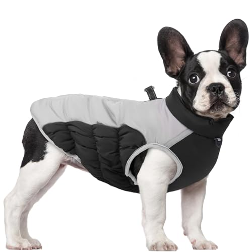 Sghtil Wintermantel für Hunde, Hundejacke, Warmer Hundemantel | wasserdichte Hundemäntel für kaltes Wetter mit reflektierenden Streifen, Wintermäntel für Hunde, Schneejacke Sghtil Wintermantel für Hunde, Hundejacke, Warmer Hundemantel | wasserdichte Hundemäntel für kaltes Wetter mit reflektierenden Streifen, Wintermäntel für Hunde, Schneejacke von Sghtil