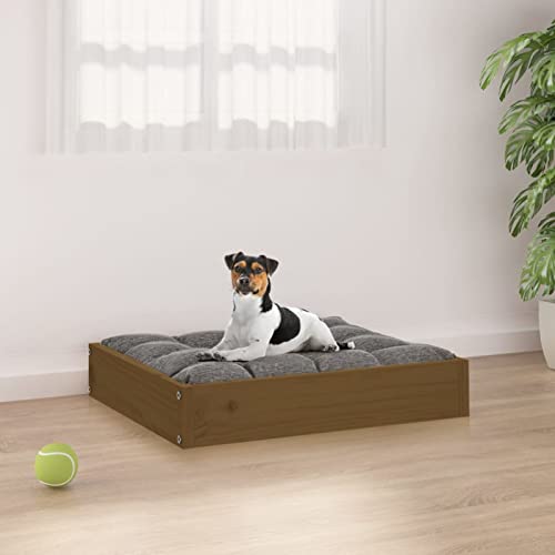 ShGaxin Hundebett, Hundesofa, Hunde Bett, Hundekissen, Dog Bed, Kuschelbett Katzen, Hunde Couch, Hunde Sofabett, Honigbraun 51,5x44x9 cm Massivholz Kiefer ShGaxin Hundebett, Hundesofa, Hunde Bett, Hundekissen, Dog Bed, Kuschelbett Katzen, Hunde Couch, Hunde Sofabett, Honigbraun 51,5x44x9 cm Massivholz Kiefer von ShGaxin