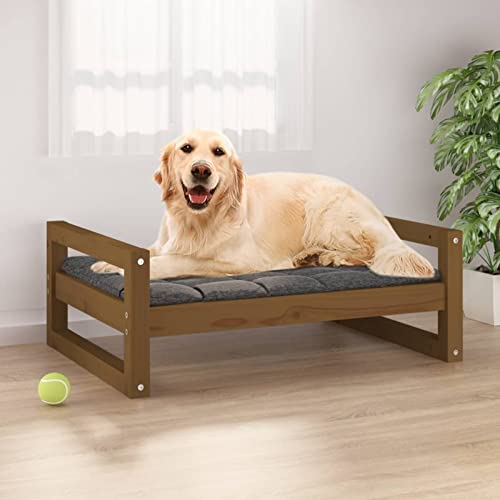 ShGaxin Hundebett, Hundesofa, Hunde Bett, Hundekissen, Dog Bed, Kuschelbett Katzen, Hunde Couch, Hunde Sofabett, Honigbraun 75,5x55,5x28 cm Massivholz Kiefer ShGaxin Hundebett, Hundesofa, Hunde Bett, Hundekissen, Dog Bed, Kuschelbett Katzen, Hunde Couch, Hunde Sofabett, Honigbraun 75,5x55,5x28 cm Massivholz Kiefer von ShGaxin