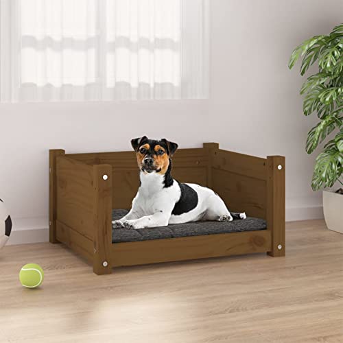 ShGaxin Hundebett, Hundesofa, Hunde Bett, Hundekissen, Dog Bed, Kuschelbett Katzen, Hunde Sofabett, Hunde Couch, Honigbraun 55,5x45,5x28 cm Massivholz Kiefer ShGaxin Hundebett, Hundesofa, Hunde Bett, Hundekissen, Dog Bed, Kuschelbett Katzen, Hunde Sofabett, Hunde Couch, Honigbraun 55,5x45,5x28 cm Massivholz Kiefer von ShGaxin