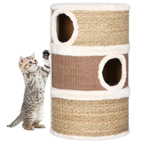 ShGaxin Kratzbaum für Katzen, Meergras, Katzenkratzbaum, Kratzbaum für Katzen, Zubehör, Katzenturm, Katzenhaus, 60 cm ShGaxin Kratzbaum für Katzen, Meergras, Katzenkratzbaum, Kratzbaum für Katzen, Zubehör, Katzenturm, Katzenhaus, 60 cm von ShGaxin
