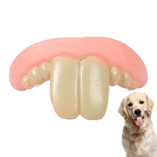Lustige Hundeprothesen, Hunde-Beißring-Zahnspangen, Spielzeug, reißfest, kreativ, leicht zu reinigen, einzigartige Anti-Bisszahn-Zahnspangen, für kleine, mittelgroße und große Hunde Lustige Hundeprothesen, Hunde-Beißring-Zahnspangen, Spielzeug, reißfest, kreativ, leicht zu reinigen, einzigartige Anti-Bisszahn-Zahnspangen, für kleine, mittelgroße und große Hunde von Shaersu