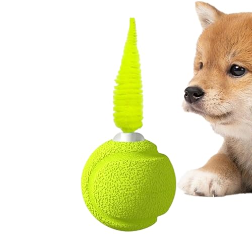 Shaersu Federball Katzen Spielzeug,Interaktiver Ball Mit Klang Für Kätzchen - Federnball Springend Interaktiv Trainingsspiel Unterhaltung für Katzen Kitten Spielen Drinnen gegen Langeweile mehr Spaß Shaersu Federball Katzen Spielzeug,Interaktiver Ball Mit Klang Für Kätzchen - Federnball Springend Interaktiv Trainingsspiel Unterhaltung für Katzen Kitten Spielen Drinnen gegen Langeweile mehr Spaß von Shaersu