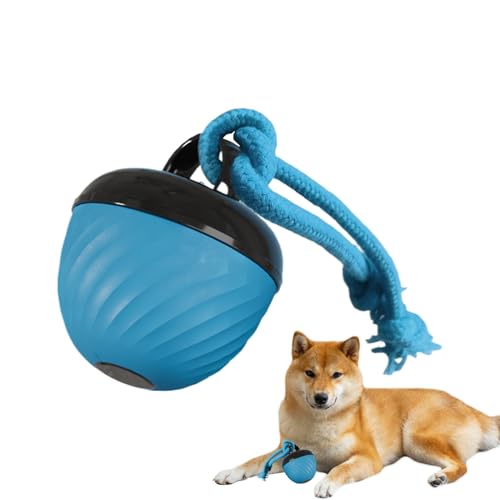 Shaersu Interaktiver Hundeball - Indoor Spielball Für Haustiere - DREI Modi Interaktives Hundespiel Für Starke Beißer, Beim Zahnwechsel, Drinnen Und Draußen von Shaersu