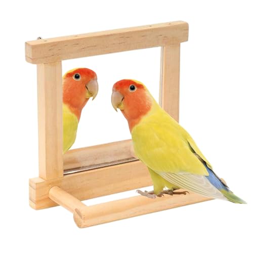 Shaersu Vogelspiegel-Sitzstangen für Käfig, Nymphensittiche, Kletterzweig, Spielzeug – Naturholz, Papageienkäfigstange für Sittiche, Nymphensittiche, Nymphensittiche, Lovebirds stehender AST von Shaersu