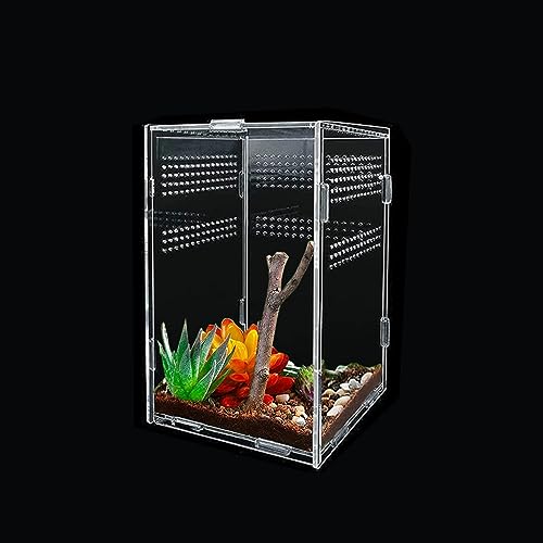 Reptilien-Futterbox, 25 x 15 x 15 cm, transparentes Acryl, Terrarium, Reptilien-Zuchtbox, Insekten-Futterbox mit Belüftungsöffnungen, Anti-Flucht-Design für Spinnen, gehörnter Frosch, Käfer, von Shalwinn