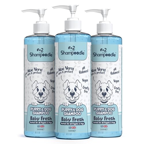 Shampoodle Puppy & Dog Shampoo für Hunde und Hunde, mit pH-Ausgewogenheit, geeignet für alle Hunde und Welpen ab 6 Wochen (Baby Fresh), 3 Stück von Shampoodle