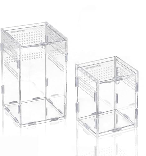 2 Stück Insektenfutterbox/Acryl Transparent Insekten-Lebensraum Terrarium Koffer mit Lüftungsschlitzen für Reptilien und Insekten von ShanGaiLi