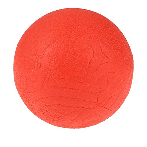 Famus Vollgummiball Interaktives Spielzeug Hundetraining Kauspiel Biss Fetch Spielzeug(L) von Shanrya