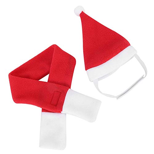 Haustierkopfbedeckung, niedliche Haustier-Weihnachtsmütze, Kätzchen-Welpe für Haustier-Hund(M) von Shanrya