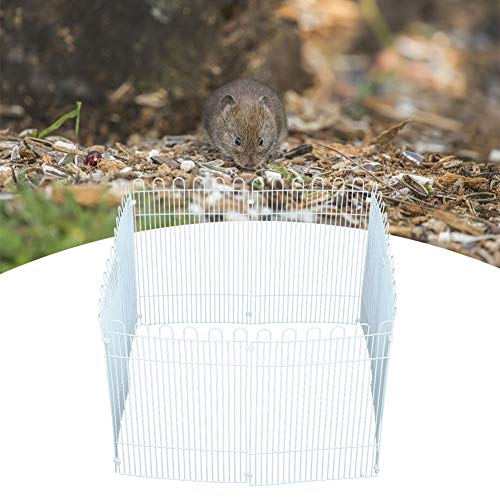 Laufstall Toy Pet Laufstall, Lackbeschichtung Großer Hamsterzaun, 8PCS Eisennetz Meerschweinchen für Igel von Shanrya