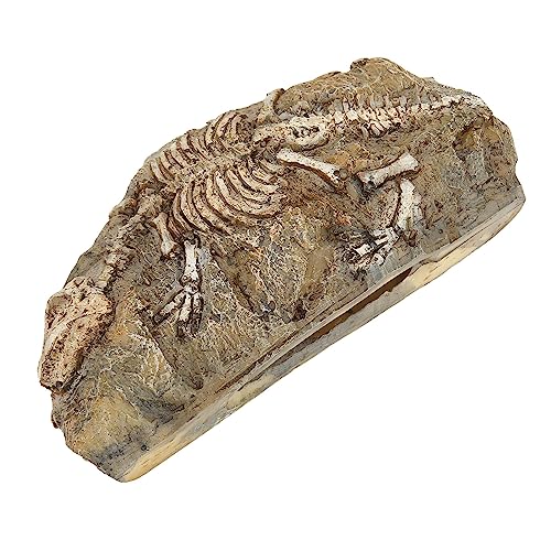 Reptilien-Dinosaurier-Felsenversteck, Umweltfreundliches Harz, Robustes, Schönes, Lebendiges Aquarium, Simulation, Dinosaurier-Ornament für Wohnumgebung Reptilien-Dinosaurier-Felsenversteck, Umweltfreundliches Harz, Robustes, Schönes, Lebendiges Aquarium, Simulation, Dinosaurier-Ornament für Wohnumgebung von Shanrya