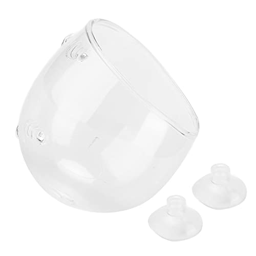 Shanrya Aquarium Pflanzenhalter, Gute Lichtabsorption Guter Griff Aquarium Blumentöpfe für Café für Blumenladen für Schuldekoration für Wohnkultur Shanrya Aquarium Pflanzenhalter, Gute Lichtabsorption Guter Griff Aquarium Blumentöpfe für Café für Blumenladen für Schuldekoration für Wohnkultur von Shanrya