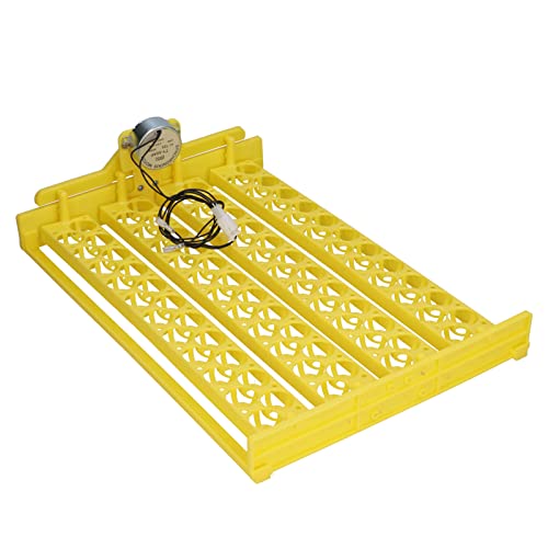 Shanrya Automatisches Ei-Inkubator-Tablett, gleichmäßiges Erhitzen, sicheres Eierwende-Tablett, geräuscharm, praktisch, leicht, für Vogel-Wachtel-Eier(#3) von Shanrya