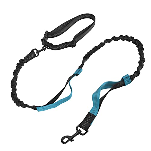 Shanrya Bungee-Hundeseil, Verstellbare, Langlebige Legierungsschnalle, Bungee-Nylon-Hundehalsbänder, Verhedderungsfreies Reflektierendes Band mit 2 Gepolsterten Griffen Zum Shanrya Bungee-Hundeseil, Verstellbare, Langlebige Legierungsschnalle, Bungee-Nylon-Hundehalsbänder, Verhedderungsfreies Reflektierendes Band mit 2 Gepolsterten Griffen Zum von Shanrya
