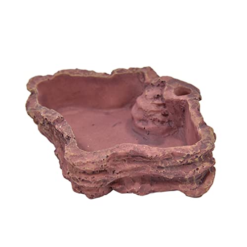 Shanrya Eidechsenfutter-Wasserschale, Glatte kleine sichere Schildkröten-Futterschale für Lguana von Shanrya