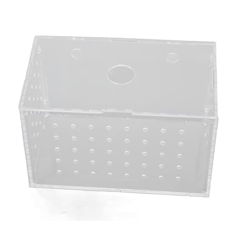 Shanrya Fish Breeder Box Hochtransparenter Aquarium-Brutkasten-Behälter aus Acryl für Baby-Clownfische für Babyfische für Aquarien (14 * 8 * 9 cm) von Shanrya