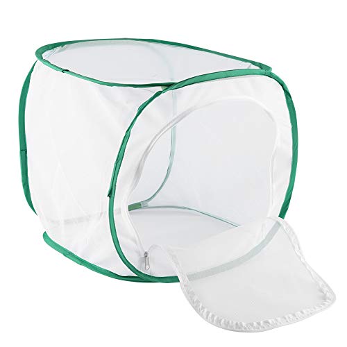 Shanrya House Breeding Cage, Insekt and Cage, for Backyard Incubator(30 * 30 * 30cm) von Shanrya