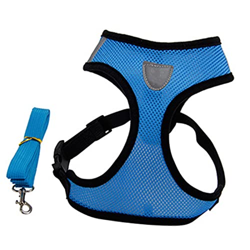 Shanrya Hundegeschirr, Netzstoff und PP Easy Control Haustierweste mit Leine für Outdoor-Training (L) von Shanrya