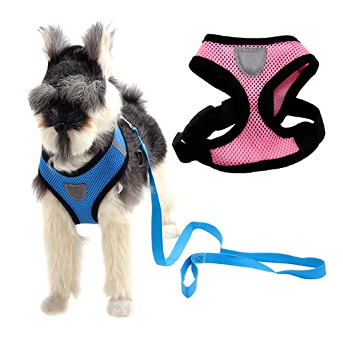 Shanrya Hundegeschirr, Netzstoff und PP Easy Control Haustierweste mit Leine für Outdoor-Training (XL) von Shanrya