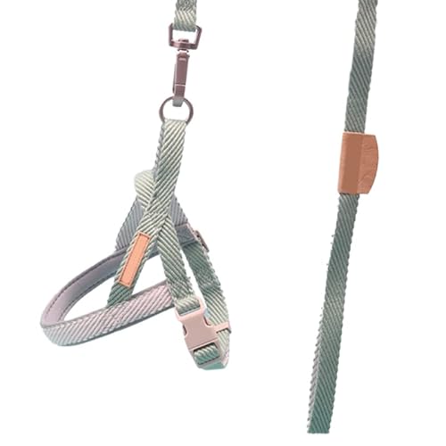 Shanrya Hundetrainingsleine, Hundetraktionsgürtel, Starke Sicherheitsgarantie für Mittelgroße Hunde Zum Wandern oder Spazierengehen mit den Hunden (2,0 cm) von Shanrya
