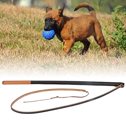 Shanrya Pet Training Stick, Humanized Handle Peitsche Leder schützen Hundetrainingshilfen, Dog Stick Hundetraining für professionelles Hundetraining Hundeseil von Shanrya