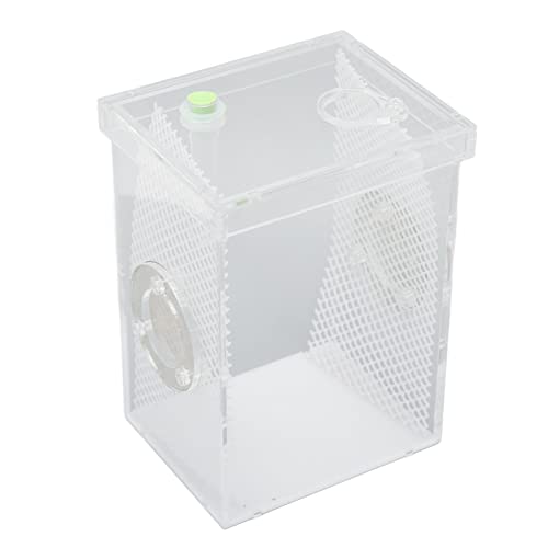 Shanrya Reptilien-Terrarium-Gehäuse Safe Reptile Breeding Box Multifunktionales Befeuchtendes Acryl Belüftet für Wirbellose Spinnen-Vogelspinnen (Große Größe) von Shanrya