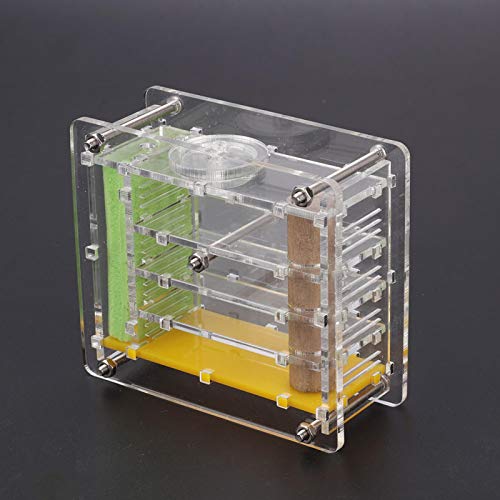 Shanrya Taidda- Acryl Einfach zu installierendes Ameisenhaus, Ameisenformicarium Geschenk Formicarium Langlebiges Ameisennest, für Ameisenfütterung Shanrya Taidda- Acryl Einfach zu installierendes Ameisenhaus, Ameisenformicarium Geschenk Formicarium Langlebiges Ameisennest, für Ameisenfütterung von Shanrya