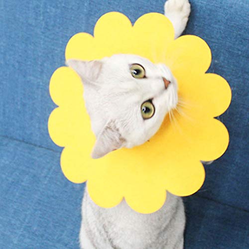 Shanrya Taidda- Cat Neck Cone Haustierhalsband-Wiederherstellungshalsband, Kitten Surgery Circle Sun Flower Collar, Cat Anti-Lick-Halsband für Cat Cat Surgery L von Shanrya