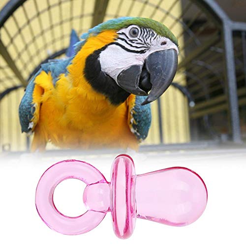 Shanrya Taidda- Papagei Biss Spielzeug, Haustier Kauspielzeug 50PCS Vogel Nippel Bunte Nippel Biss Nippel, DIY Nippel Vogel für Haustier Kauen Haustier von Shanrya