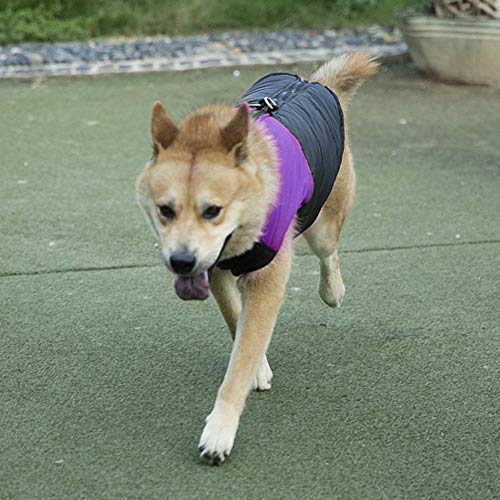 wasserdichte Daunen Warme Daunenjacke, Haustierkleidung, Weste Lila Hund für Haustierkleidung 2XL wasserdichte Daunen Warme Daunenjacke, Haustierkleidung, Weste Lila Hund für Haustierkleidung 2XL von Taidda