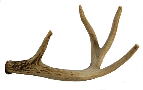 Big Dog Antler Chews - Whitetail Deer Antler Dog Chew, Medium, 8 Inches to 13 Inches Long, Natural, Healthy Long-Lasting Treat. for Medium to Large Size Dogs and Puppies! Happy Dog Guarantee! von SharpCost