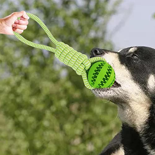 Sharplace 5X Hundespielzeug für Den Außenbereich Robuster Kauspaß für Kleine Und Mittelgroße Hunde von Sharplace