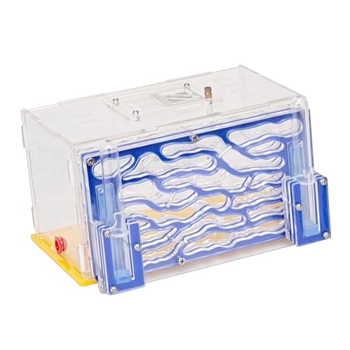 Sharplace -Ausstellungsbox, DIY-Zubehör, einfach zu montierender Lebensraum, Brutkasten für Liebhaber der Wissenschaftsbeobachtung, Kindertag, Blau Sharplace -Ausstellungsbox, DIY-Zubehör, einfach zu montierender Lebensraum, Brutkasten für Liebhaber der Wissenschaftsbeobachtung, Kindertag, Blau von Sharplace