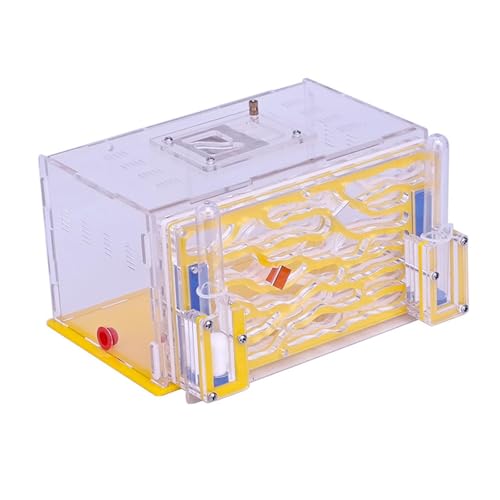 Sharplace -Ausstellungsbox, DIY-Zubehör, einfach zu montierender Lebensraum, Brutkasten für Liebhaber der Wissenschaftsbeobachtung, Kindertag, Gelb Sharplace -Ausstellungsbox, DIY-Zubehör, einfach zu montierender Lebensraum, Brutkasten für Liebhaber der Wissenschaftsbeobachtung, Kindertag, Gelb von Sharplace