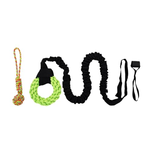 Sharplace Bungee-Zerrspielzeug für draußen, Leine mit Kauseil, für kleine bis große Hunde, Spielkordel zum Aufhängen im Freien, Zerrspielzeug, Grüner Ring Sharplace Bungee-Zerrspielzeug für draußen, Leine mit Kauseil, für kleine bis große Hunde, Spielkordel zum Aufhängen im Freien, Zerrspielzeug, Grüner Ring von Sharplace